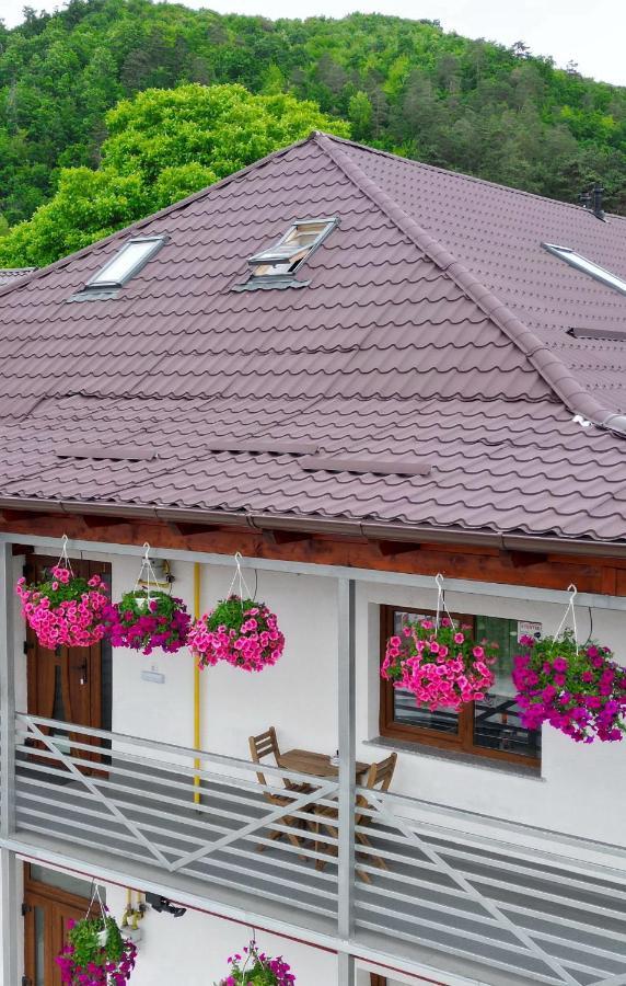 Vaias Aparts Targu Neamt Extérieur photo